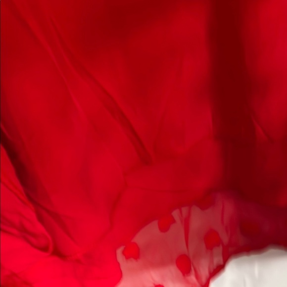 Vibrant Red, Lined, Textured Dress, Size XL - Picture 6 of 12